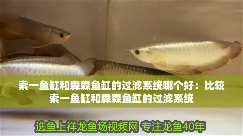 索一魚缸和森森魚缸的過濾系統哪個好：比較索一魚缸和森森魚缸的過濾系統