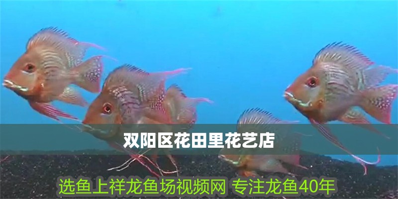 雙陽區花田里花藝店