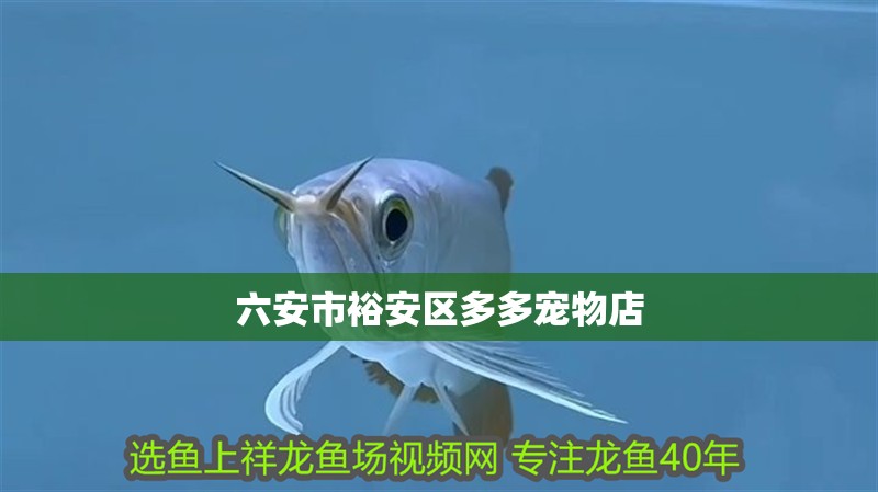 六安市裕安區多多寵物店