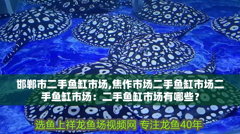 邯鄲市二手魚缸市場,焦作市場二手魚缸市場二手魚缸市場：二手魚缸市場有哪些？