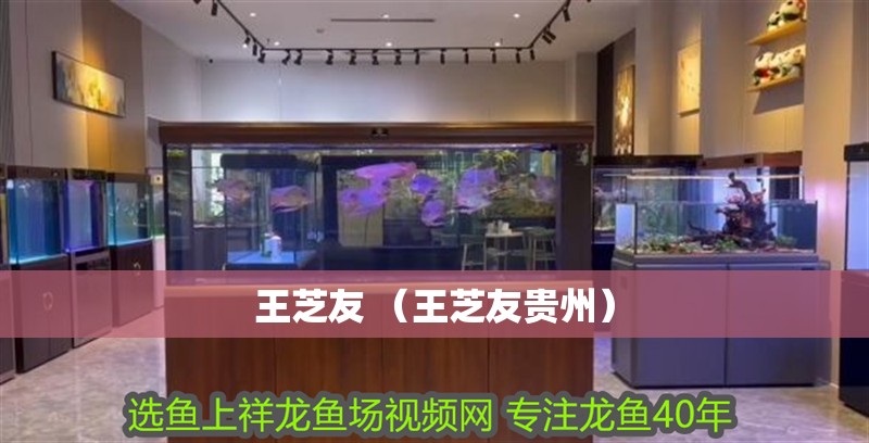 王芝友 （王芝友貴州）