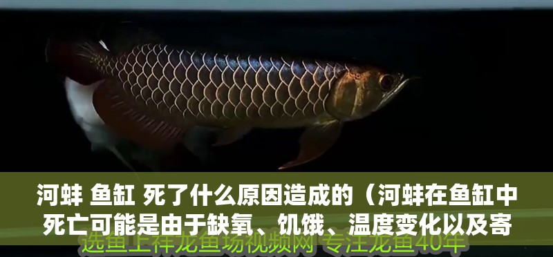 河蚌 魚缸 死了什么原因造成的（河蚌在魚缸中死亡可能是由于缺氧、饑餓、溫度變化以及寄生蟲等因素造成的）