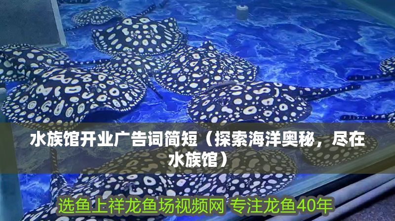水族館開業廣告詞簡短（探索海洋奧秘，盡在水族館）