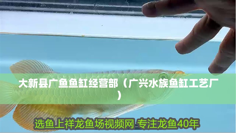 大新縣廣魚魚缸經(jīng)營部（廣興水族魚缸工藝廠）