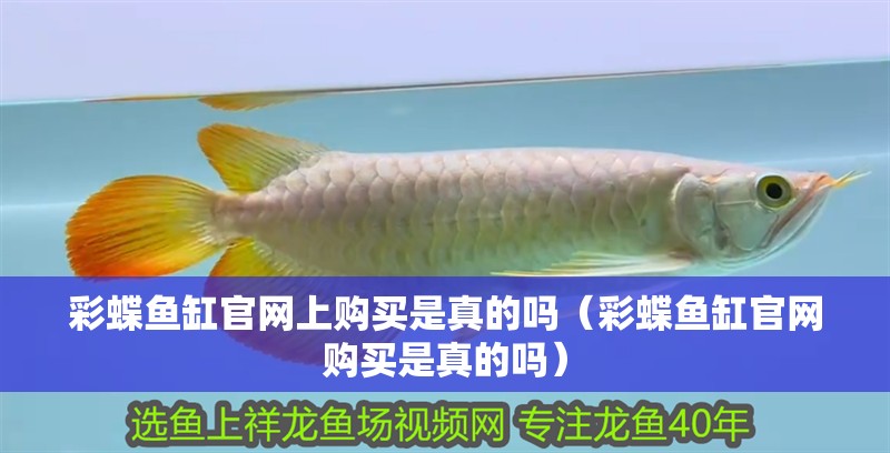 彩蝶魚缸官網上購買是真的嗎（彩蝶魚缸官網購買是真的嗎）