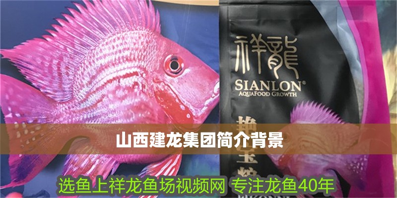 魚缸用增氧泵價格是多少:魚缸增氧機-xtrac增氧機-xtrac增氧機 山西建龍集團簡介背景 龍魚論壇 山西建龍集團簡介背景 山西建龍集團簡介背景 龍魚論壇