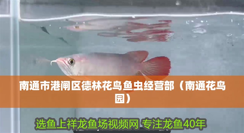 南通市港閘區德林花鳥魚蟲經營部（南通花鳥園） 南通市港閘區德林花鳥魚蟲經營部（南通花鳥園） 全國水族館企業名錄