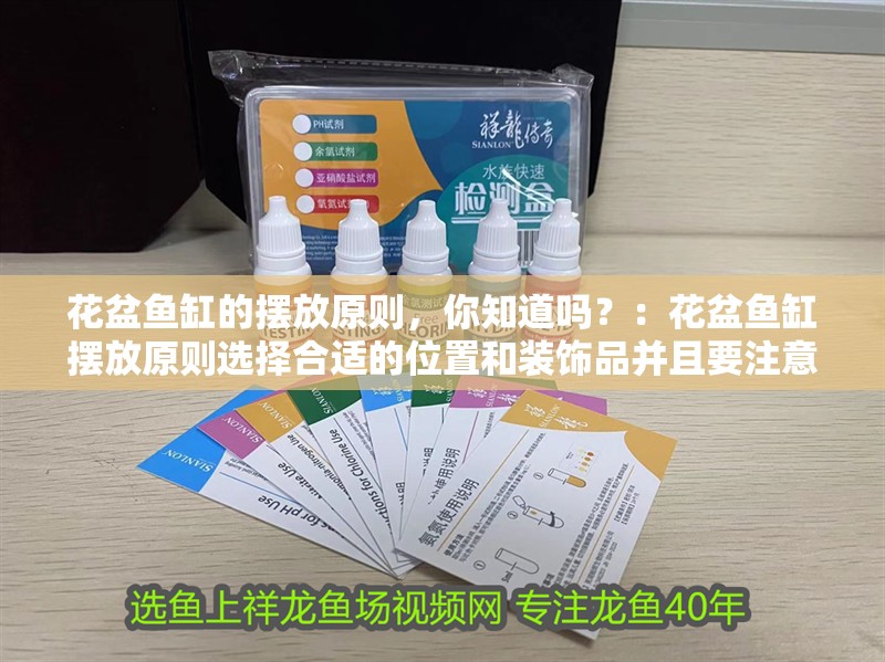 花盆魚缸的擺放原則，你知道嗎？：花盆魚缸擺放原則選擇合適的位置和裝飾品并且要注意日常養護工作