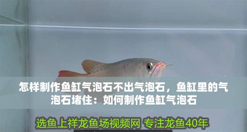怎樣制作魚缸氣泡石不出氣泡石，魚缸里的氣泡石堵?。喝绾沃谱黥~缸氣泡石