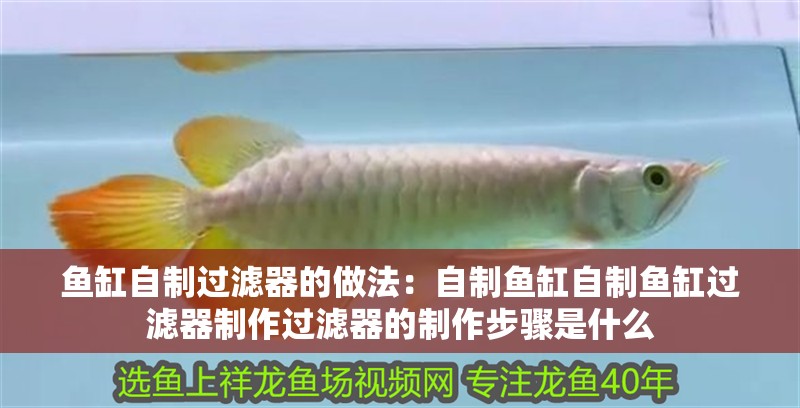 魚缸自制過濾器的做法：自制魚缸自制魚缸過濾器制作過濾器的制作步驟是什么