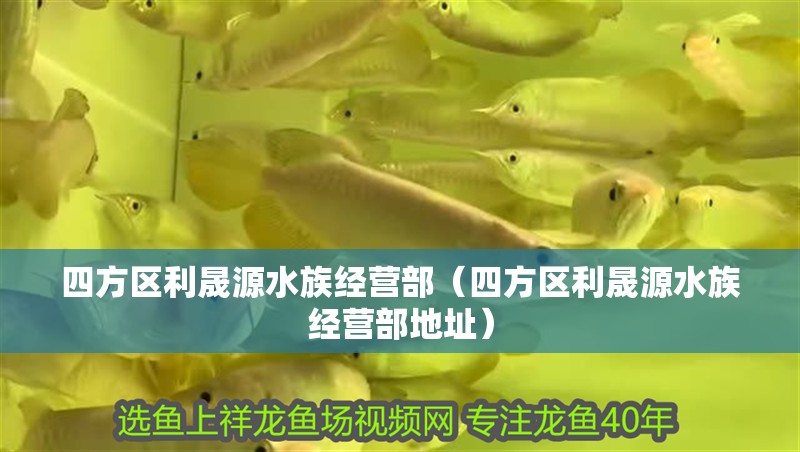 四方區利晟源水族經營部（四方區利晟源水族經營部地址）