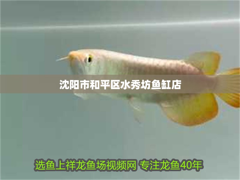 沈陽市和平區水秀坊魚缸店