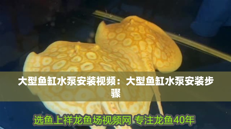 大型魚缸水泵安裝視頻：大型魚缸水泵安裝步驟