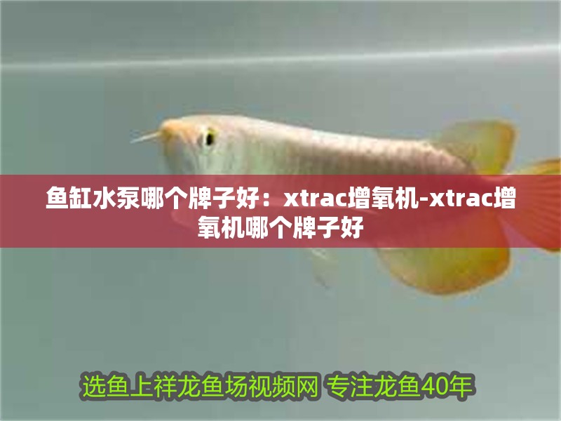 魚缸水泵哪個(gè)牌子好：xtrac增氧機(jī)-xtrac增氧機(jī)哪個(gè)牌子好