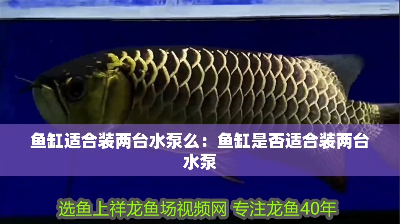 魚缸適合裝兩臺水泵么：魚缸是否適合裝兩臺水泵