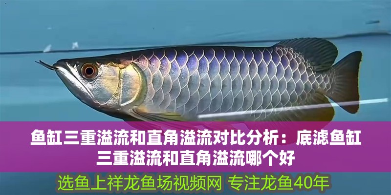 魚缸三重溢流和直角溢流對比分析：底濾魚缸三重溢流和直角溢流哪個好