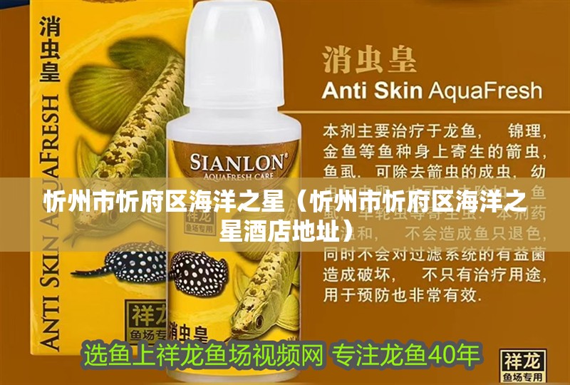 忻州市忻府區(qū)海洋之星（忻州市忻府區(qū)海洋之星酒店地址）