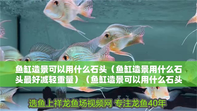 魚缸造景可以用什么石頭（魚缸造景用什么石頭最好減輕重量）（魚缸造景可以用什么石頭好，魚缸造景用什么石頭好松皮石）