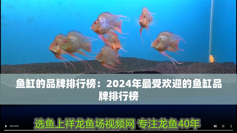 魚缸的品牌排行榜：2024年最受歡迎的魚缸品牌排行榜