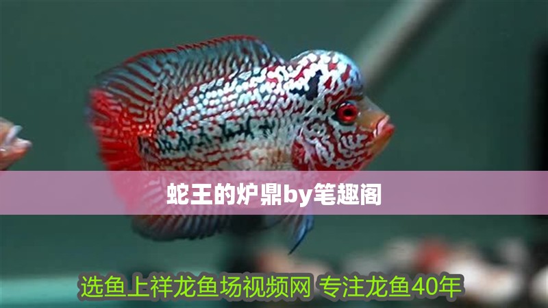 蛇王的爐鼎by筆趣閣