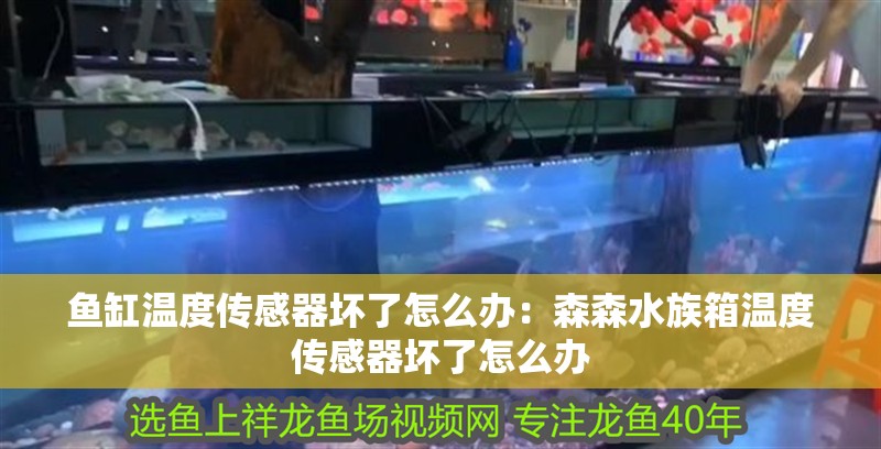 魚缸溫度傳感器壞了怎么辦：森森水族箱溫度傳感器壞了怎么辦 魚缸溫度傳感器壞了怎么辦：森森水族箱溫度傳感器壞了怎么辦 魚缸百科