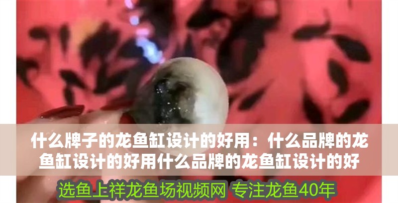 什么牌子的龍魚缸設計的好用：什么品牌的龍魚缸設計的好用什么品牌的龍魚缸設計的好
