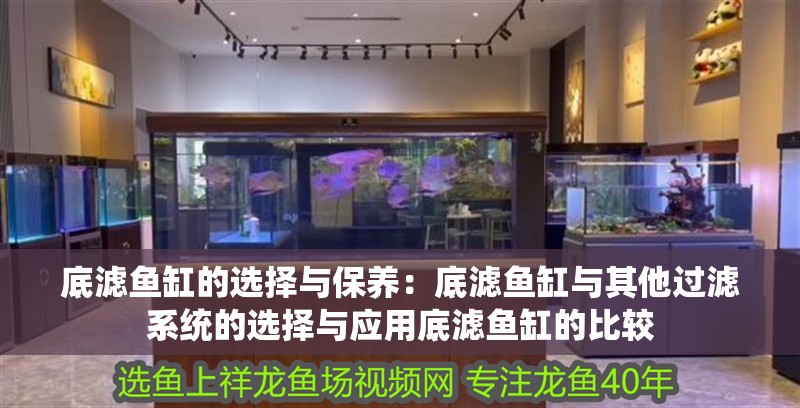 底濾魚缸的選擇與保養(yǎng)：底濾魚缸與其他過濾系統(tǒng)的選擇與應(yīng)用底濾魚缸的比較