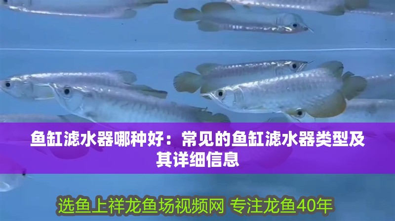 我的虎魚真菌感染了要怎么處理 魚缸濾水器哪種好:常見的魚缸濾水器類型及其詳細信息 魚缸百科 魚缸濾水器哪種好:常見的魚缸濾水器類型及其詳細信息 魚缸濾水器哪種好:常見的魚缸濾水器類型及其詳細信息 魚缸百科