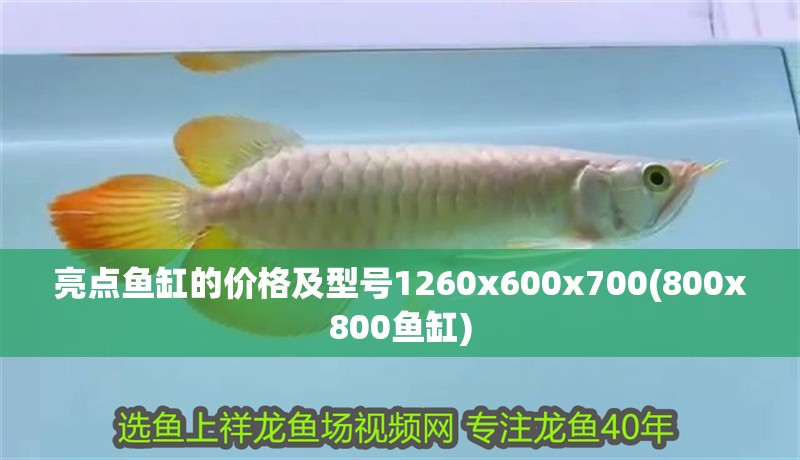 亮點魚缸的價格及型號1260x600x700(800x800魚缸)