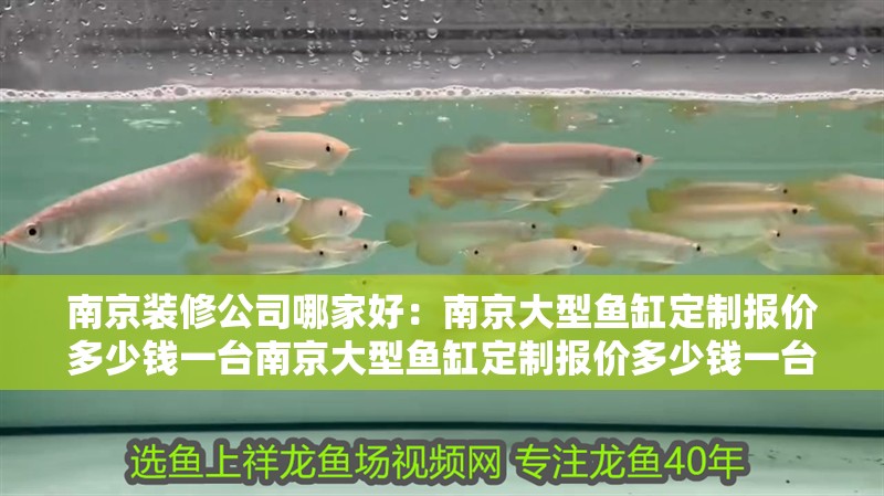 <strong><mark>南京</mark></strong>裝修公司哪家好：<strong><mark>南京</mark></strong>大型魚缸定制報價多少錢一臺<strong><mark>南京</mark></strong>大型魚缸定制報價多少錢一臺