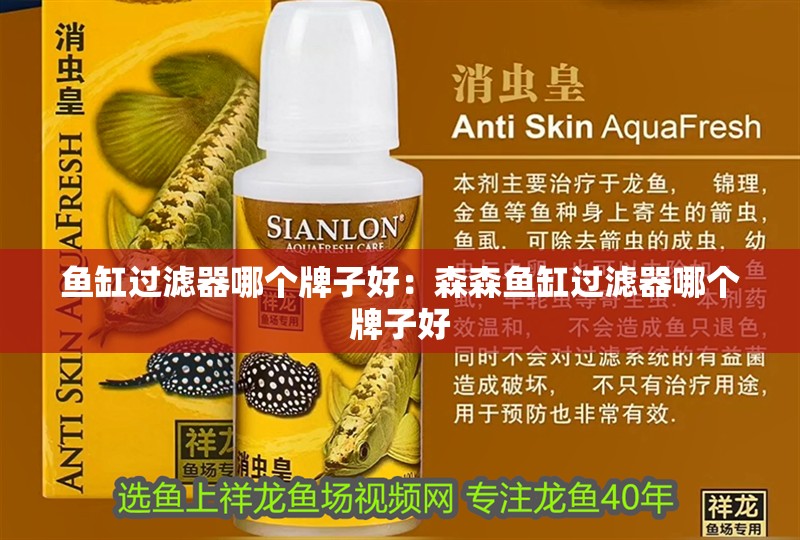 魚缸過濾器哪個(gè)牌子好：森森魚缸過濾器哪個(gè)牌子好