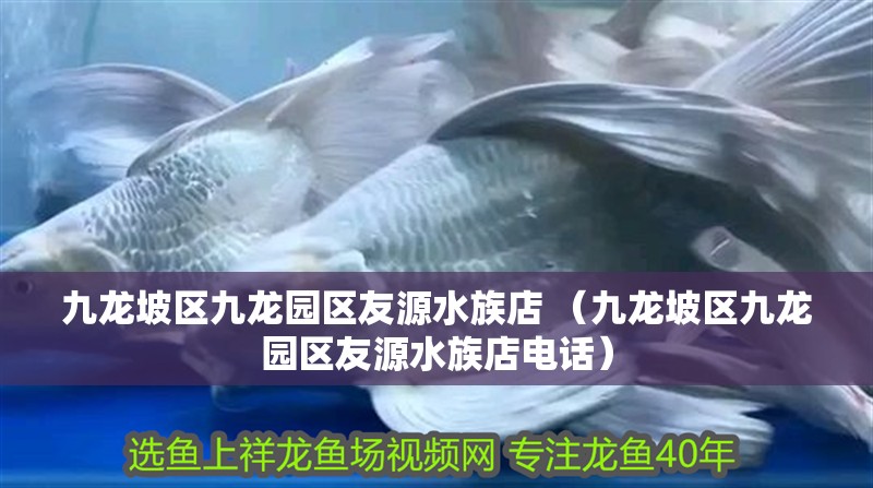九龍坡區九龍園區友源水族店 （九龍坡區九龍園區友源水族店電話）