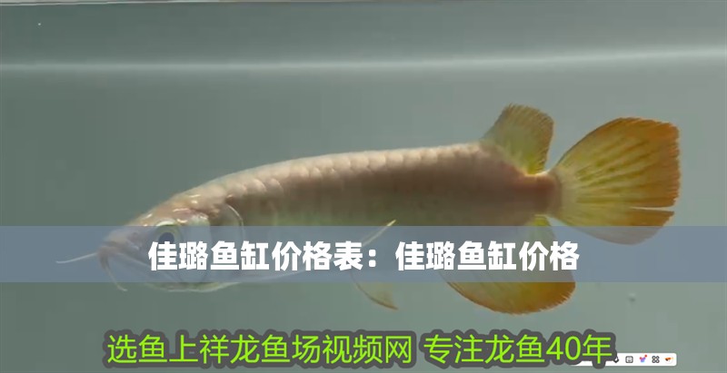 佳璐魚缸價格表：佳璐魚缸價格