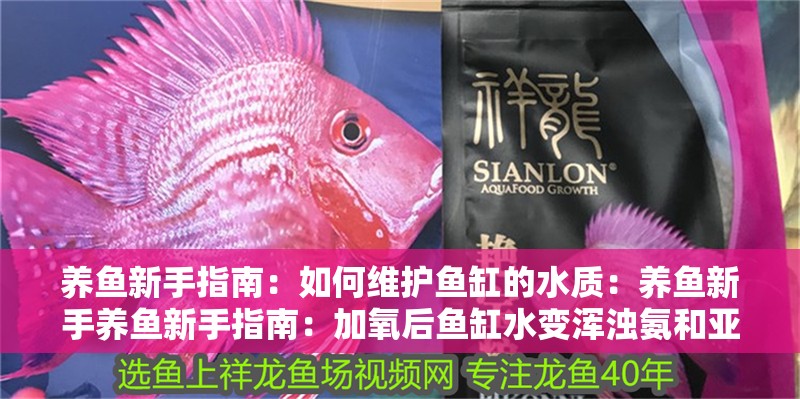 養魚新手指南：如何維護魚缸的水質：養魚新手養魚新手指南：加氧后魚缸水變渾濁氨和亞硝酸鹽