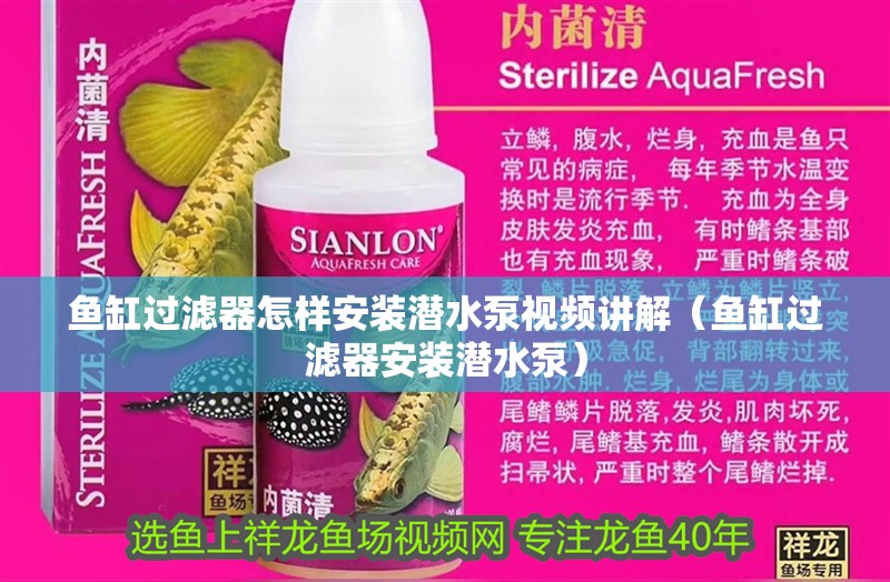 魚缸過濾器怎樣安裝潛水泵視頻講解（魚缸過濾器安裝潛水泵）