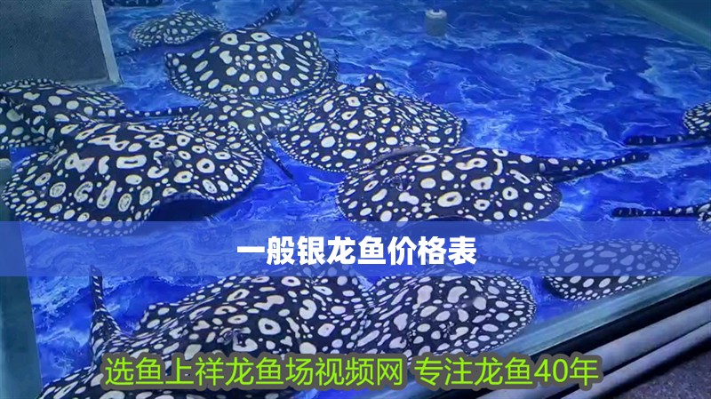一般銀龍魚價(jià)格表