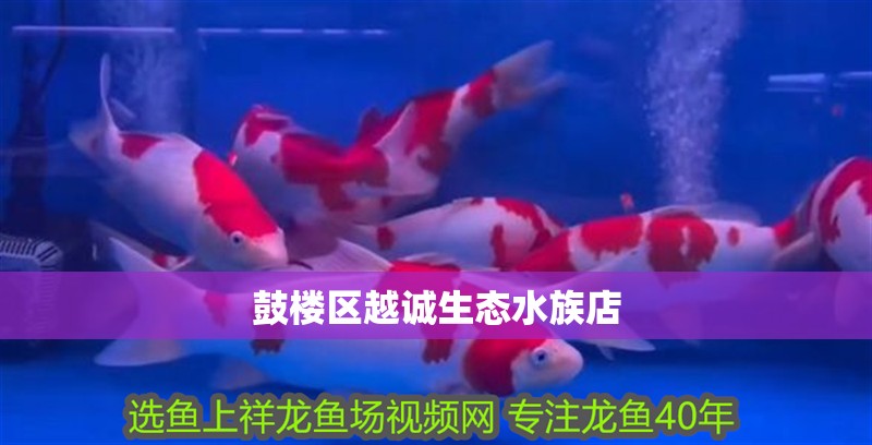 鼓樓區(qū)越誠生態(tài)水族店