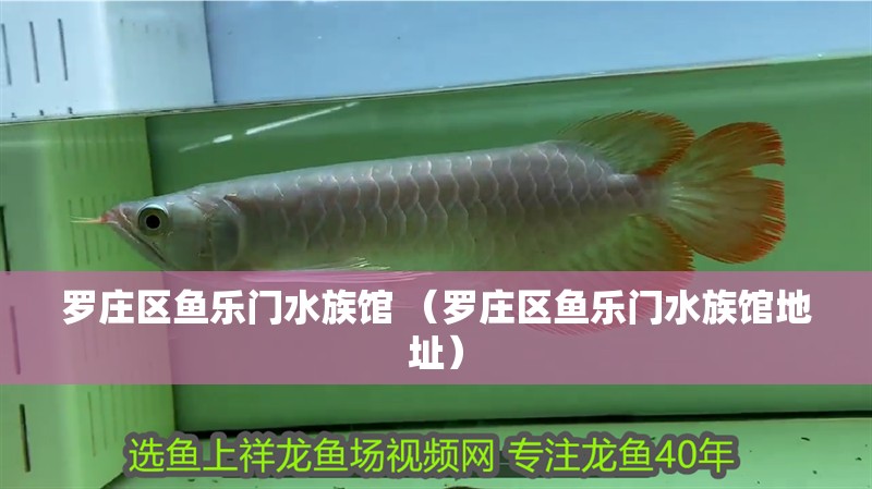 羅莊區魚樂門水族館 （羅莊區魚樂門水族館地址）