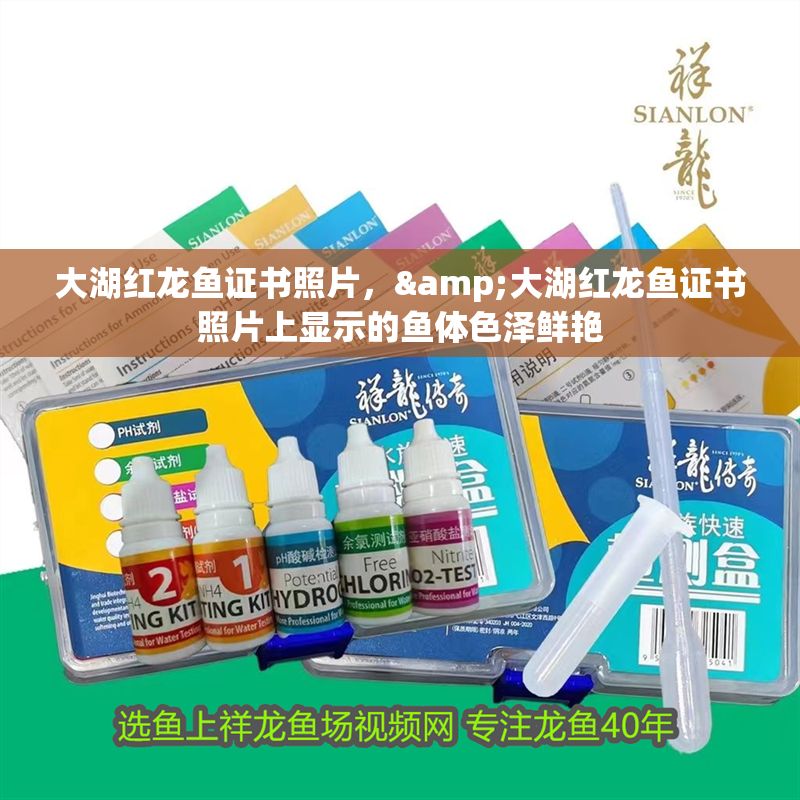 大湖紅龍魚證書照片，&大湖紅龍魚證書照片上顯示的魚體色澤鮮艷