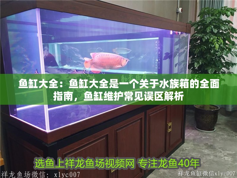 魚缸大全：魚缸大全是一個關于水族箱的全面指南，魚缸維護常見誤區解析