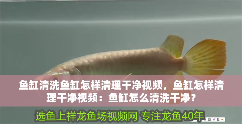 魚缸清洗魚缸怎樣清理干凈視頻，魚缸怎樣清理干凈視頻：魚缸怎么清洗干凈？