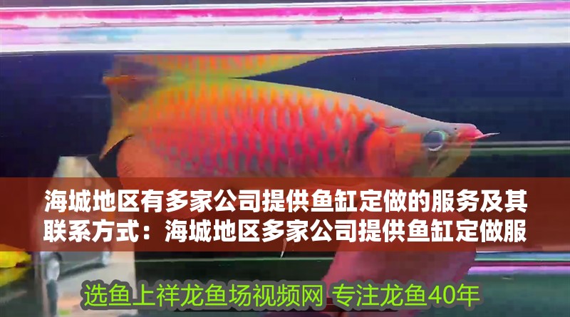 海城地區有多家公司提供魚缸定做的服務及其聯系方式：海城地區多家公司提供魚缸定做服務 海城地區有多家公司提供魚缸定做的服務及其聯系方式：海城地區多家公司提供魚缸定做服務 魚缸百科