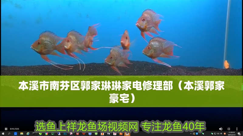 本溪市南芬區(qū)郭家琳琳家電修理部（本溪郭家豪宅） 本溪市南芬區(qū)郭家琳琳家電修理部（本溪郭家豪宅） 全國(guó)水族館企業(yè)名錄