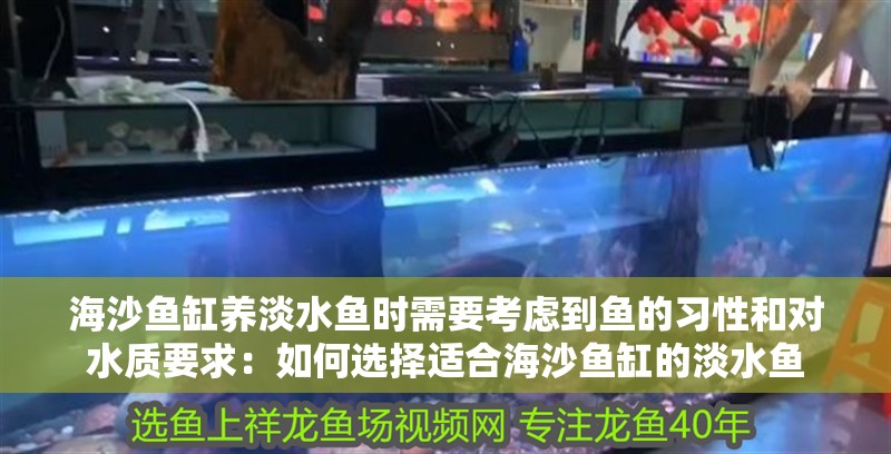 海沙魚缸養淡水魚時需要考慮到魚的習性和對水質要求：如何選擇適合海沙魚缸的淡水魚