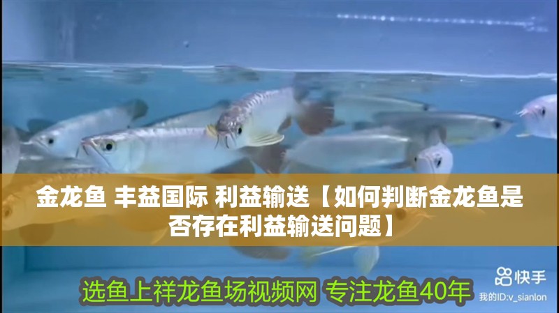 金龍魚 豐益國際 利益輸送【如何判斷金龍魚是否存在利益輸送問題】