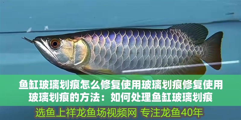 魚缸玻璃劃痕怎么修復使用玻璃劃痕修復使用玻璃劃痕的方法：如何處理魚缸玻璃劃痕