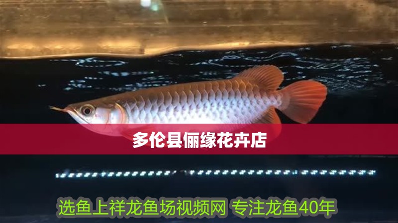 多倫縣儷緣花卉店