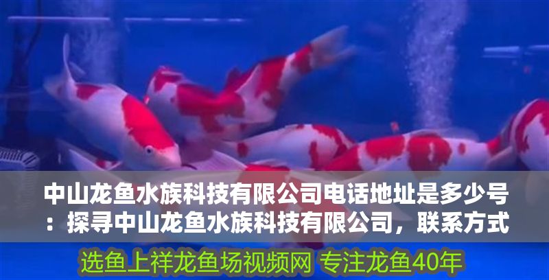 <strong><mark>中山</mark></strong>龍魚水族科技有限公司電話地址是多少號：探尋<strong><mark>中山</mark></strong>龍魚水族科技有限公司，聯系方式與公司全貌