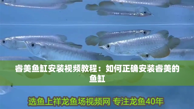 睿美魚缸安裝視頻教程：如何正確安裝睿美的魚缸