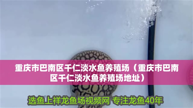 重慶市巴南區(qū)千仁淡水魚養(yǎng)殖場（重慶市巴南區(qū)千仁淡水魚養(yǎng)殖場地址）